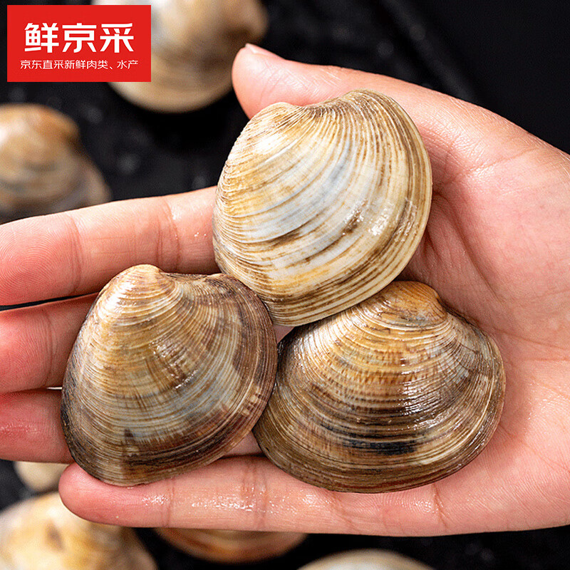跳转app大概率弹【6-5】券如没看到弹app点消息-优惠促销玖瑞昇 鲜活大美贝花甲5斤 每斤15-20粒拍下到手16.9插图