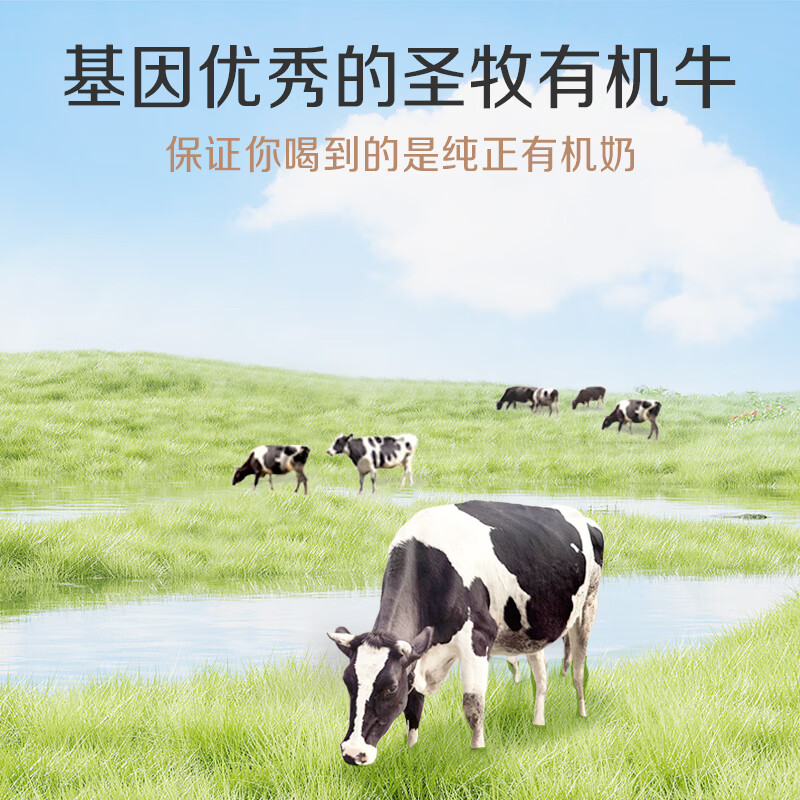 先领179-81元券：【自营】圣牧 有机纯牛奶品醇200ml*12盒拍4件到手99元包邮，折2元/盒，营养健康，有机奶源插图
