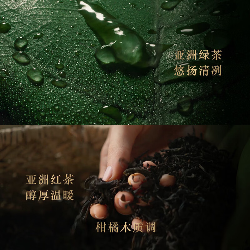 领1000-120券:阿玛尼玉龙茶香50ml 男士女士中性清新香水【赠玉龙茶香7.5ml+高定香氛4ml】插图