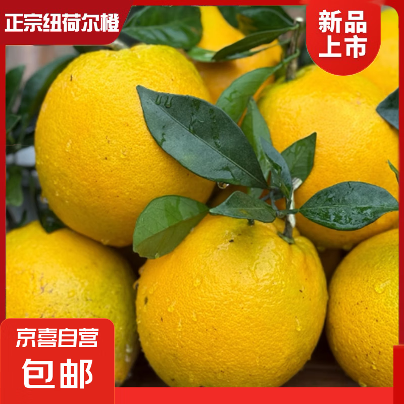 【5.99元自营包邮】山东莱阳秋月梨带箱1斤 买一赠一【5.99元自营包邮】丹东新鲜板栗1斤 买一赠一【9.9元自插图5