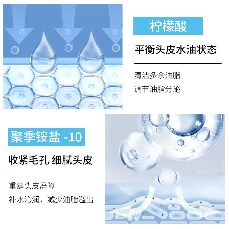 【自营】采乐 蓬松洗发液750ml元包邮，去油屑止痒，温和不伤发质！插图1